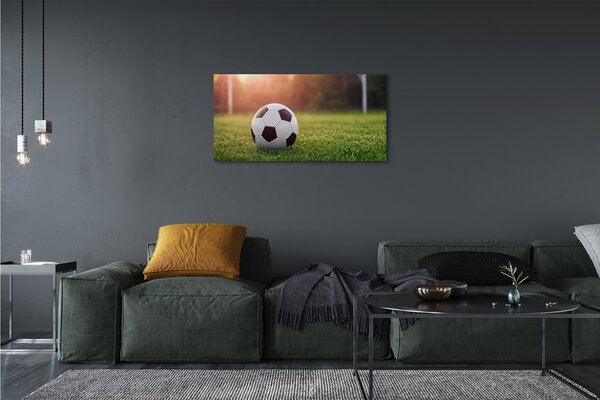 Tablouri canvas gateway-ul de fotbal cu gazon