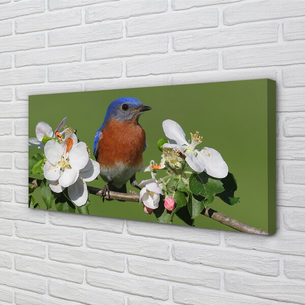 Tablouri canvas Flori papagal colorat