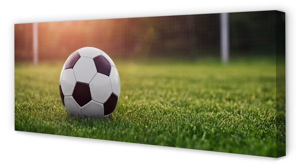 Tablouri canvas gateway-ul de fotbal cu gazon