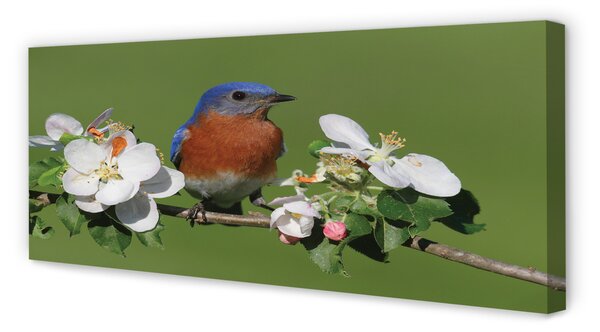 Tablouri canvas Flori papagal colorat