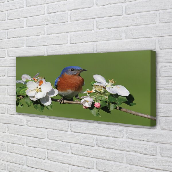 Tablouri canvas Flori papagal colorat