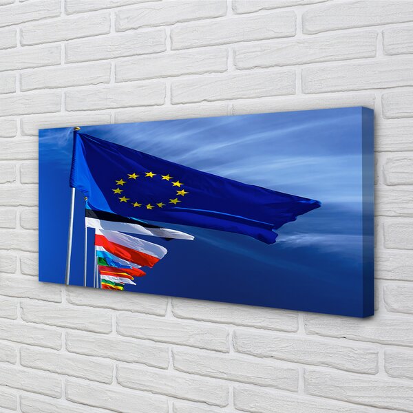 Tablouri canvas diverse steaguri