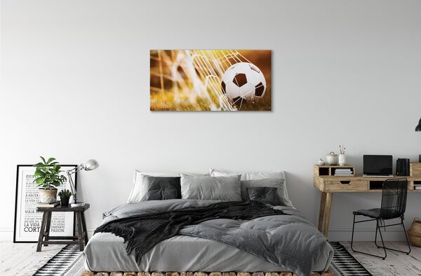 Tablouri canvas Mingea fundal galben iarbă