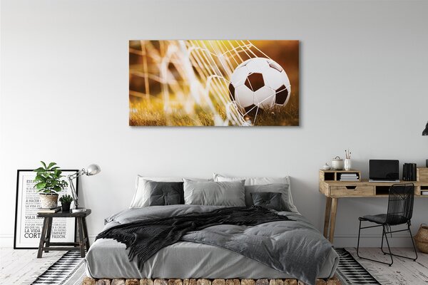 Tablouri canvas Mingea fundal galben iarbă