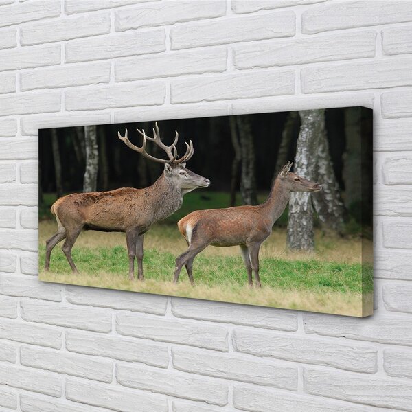 Tablouri canvas pădure cerb