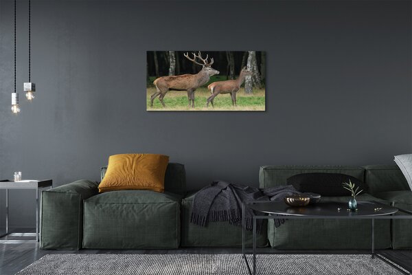 Tablouri canvas pădure cerb