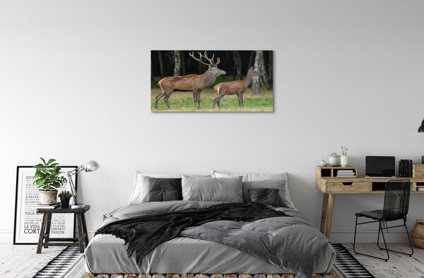 Tablouri canvas pădure cerb