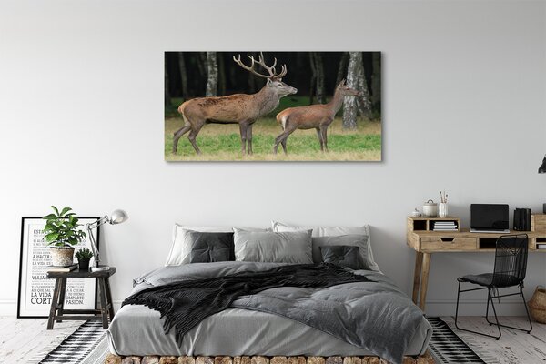 Tablouri canvas pădure cerb