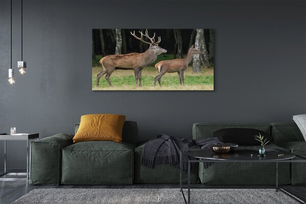 Tablouri canvas pădure cerb