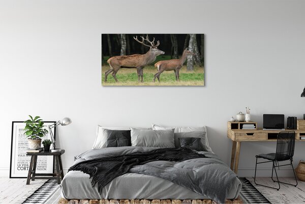 Tablouri canvas pădure cerb