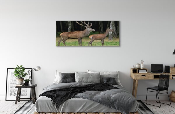 Tablouri canvas pădure cerb