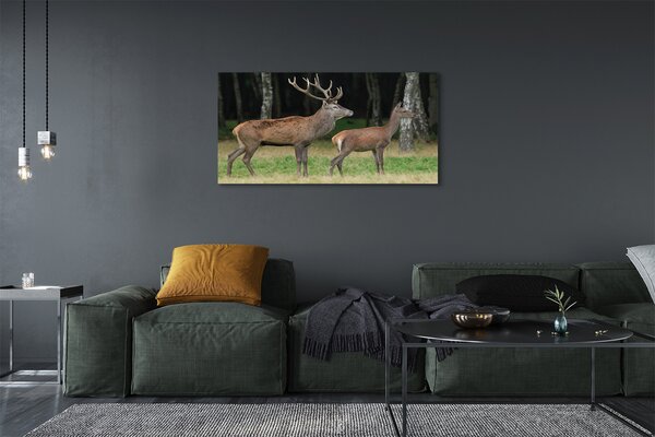 Tablouri canvas pădure cerb