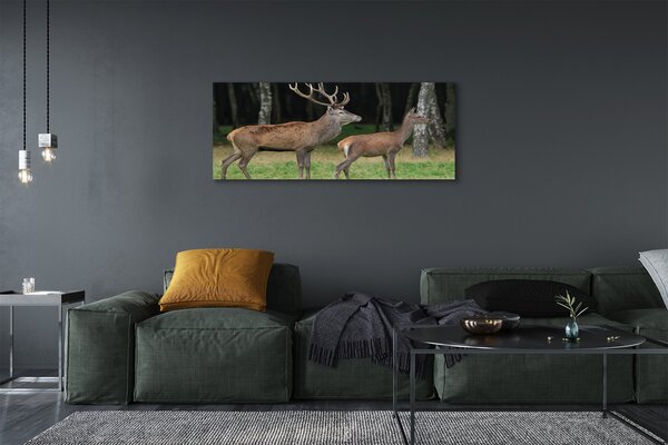 Tablouri canvas pădure cerb