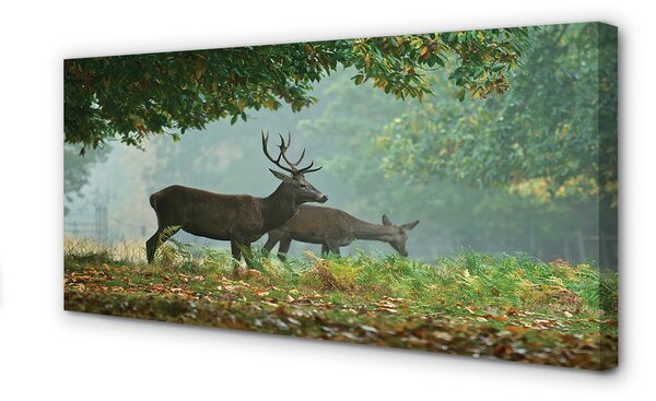 Tablouri canvas pădure toamna Deer