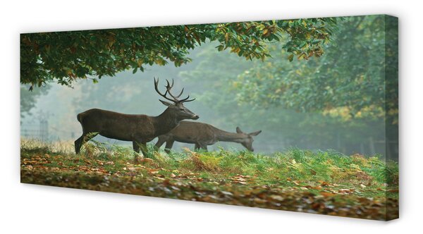 Tablouri canvas pădure toamna Deer