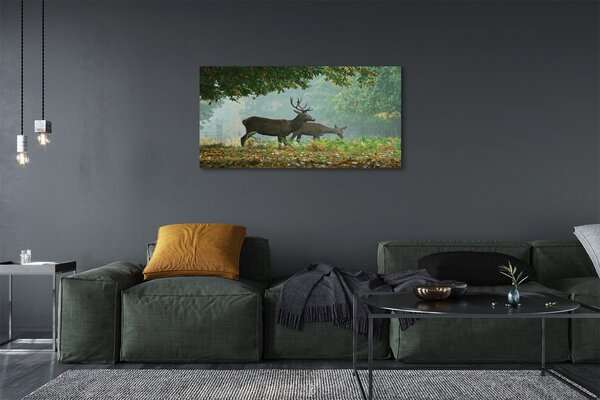 Tablouri canvas pădure toamna Deer