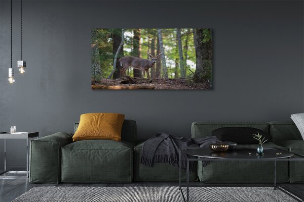 Tablouri canvas pădure cerb