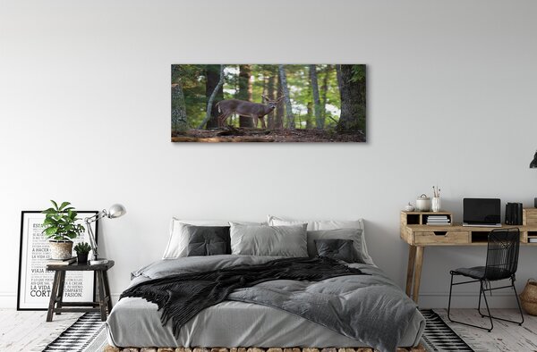 Tablouri canvas pădure cerb