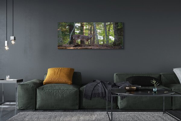 Tablouri canvas pădure cerb