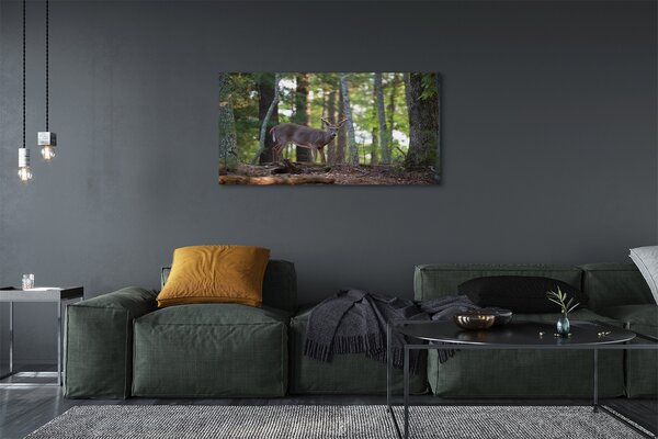 Tablouri canvas pădure cerb