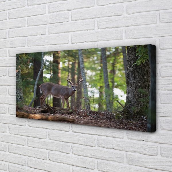 Tablouri canvas pădure cerb