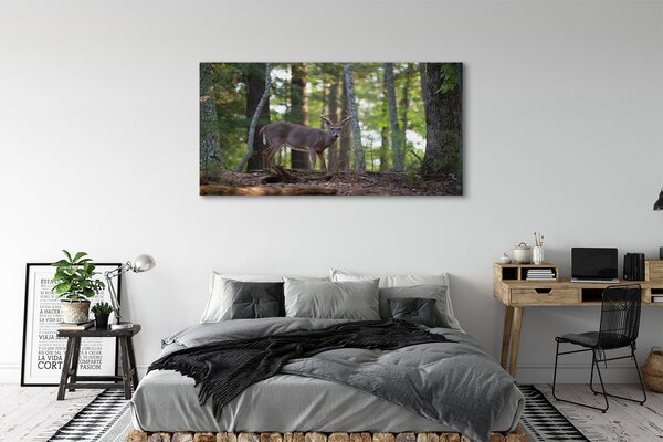Tablouri canvas pădure cerb