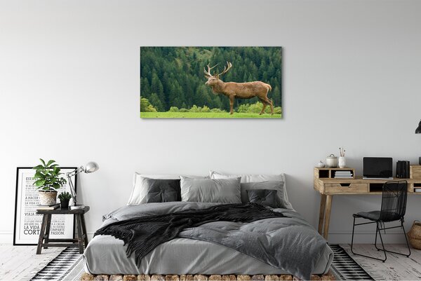 Tablouri canvas Deer în domeniu