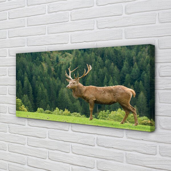 Tablouri canvas Deer în domeniu