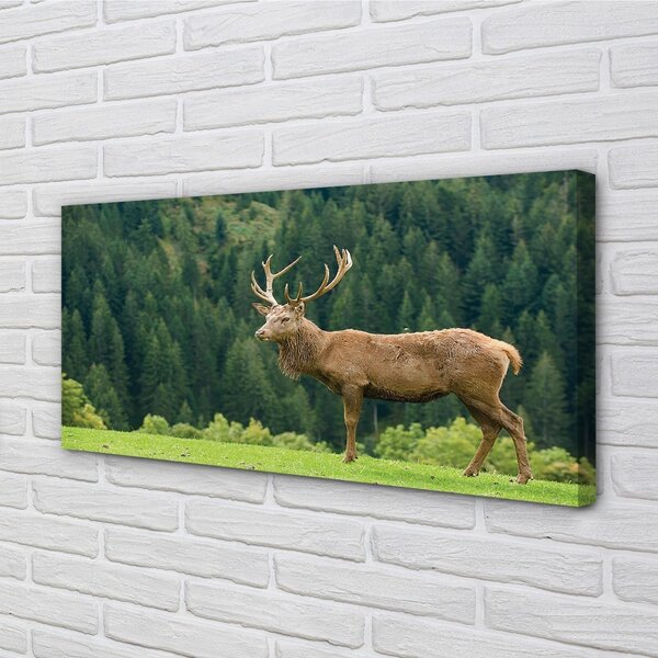 Tablouri canvas Deer în domeniu