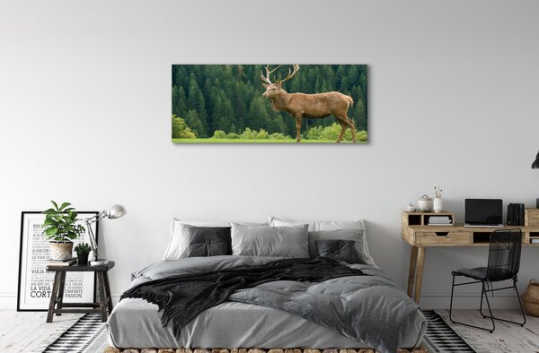 Tablouri canvas Deer în domeniu