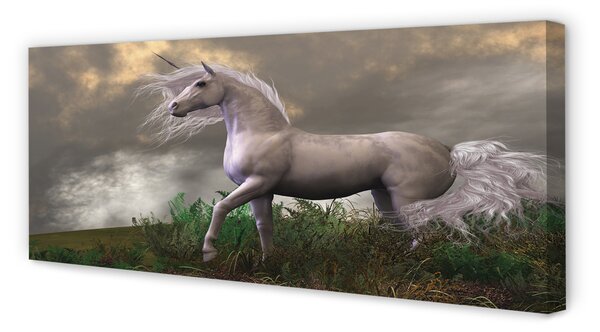Tablouri canvas nori Unicorn