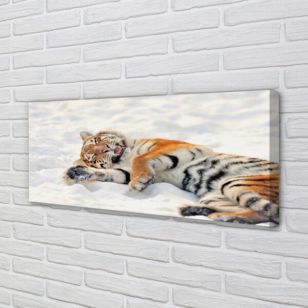 Tablouri canvas Tiger de iarnă