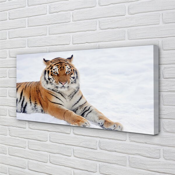 Tablouri canvas Tiger de iarnă