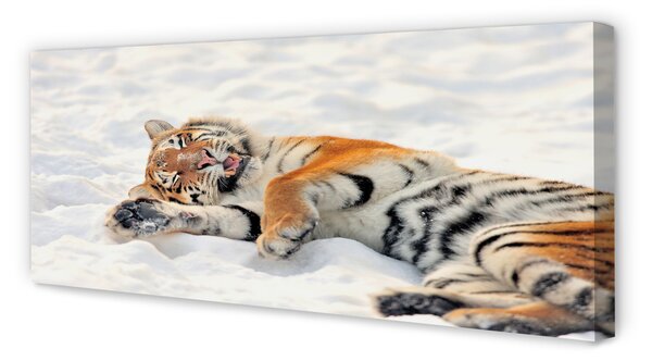 Tablouri canvas Tiger de iarnă