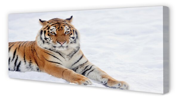 Tablouri canvas Tiger de iarnă