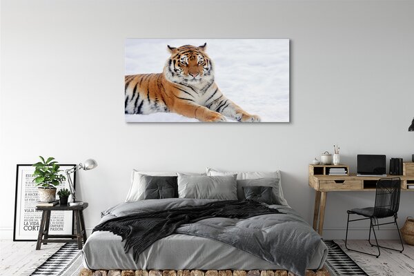 Tablouri canvas Tiger de iarnă