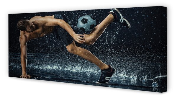 Tablouri canvas Ball Rain Man
