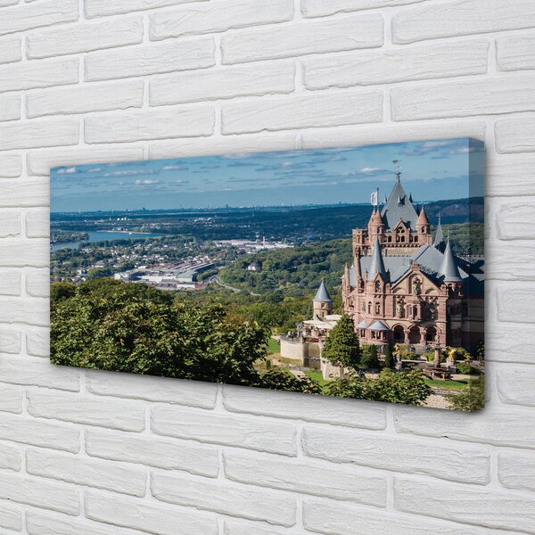 Tablouri canvas Germania Panorama a castelului orașului