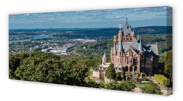Tablouri canvas Germania Panorama a castelului orașului