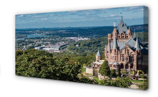 Tablouri canvas Germania Panorama a castelului orașului