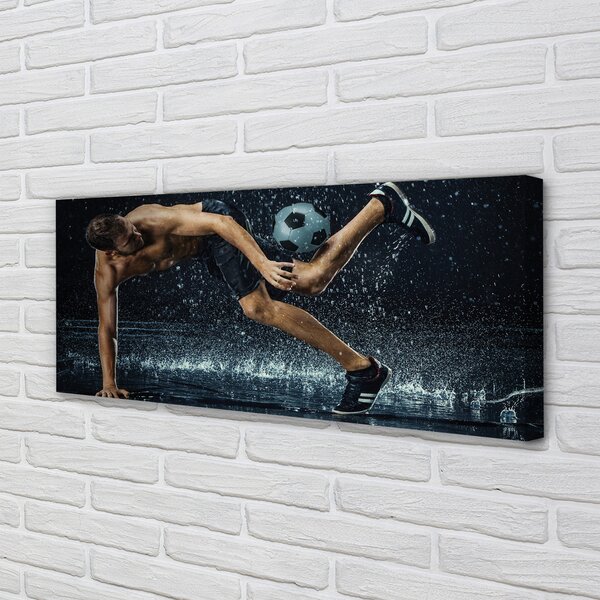 Tablouri canvas Ball Rain Man