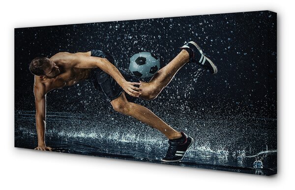 Tablouri canvas Ball Rain Man