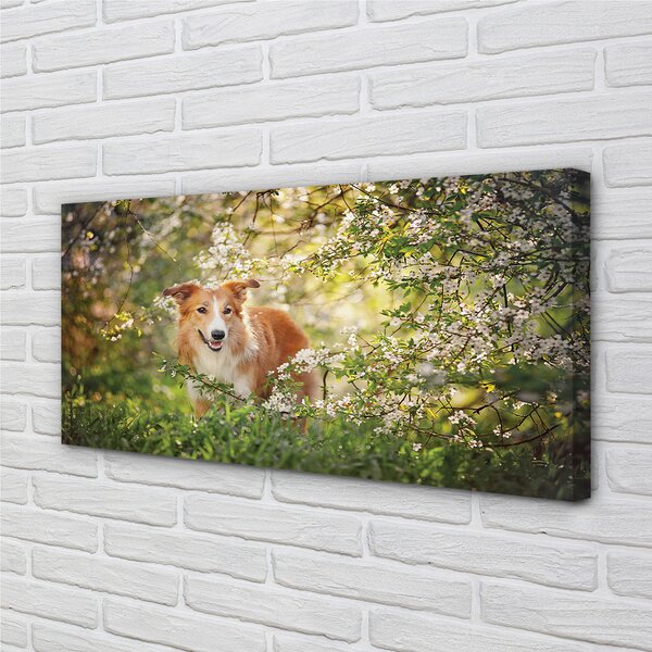 Tablouri canvas Dog flori pădure