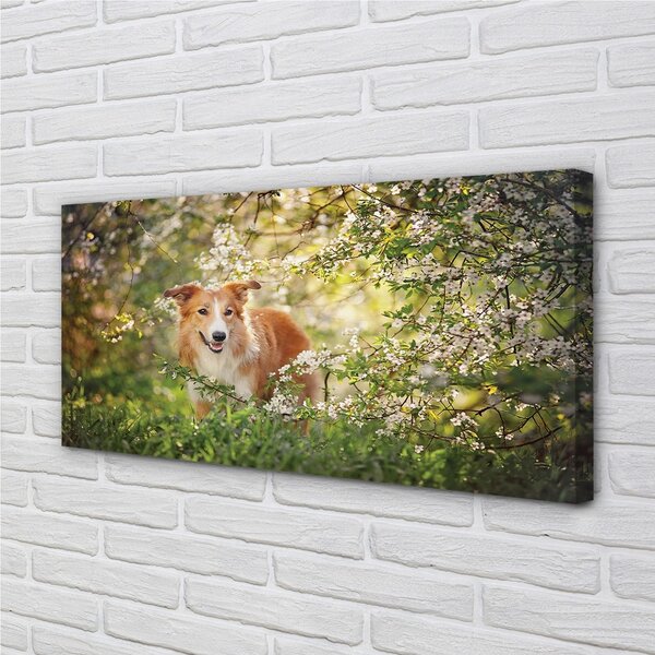 Tablouri canvas Dog flori pădure