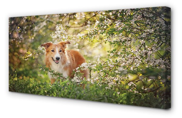 Tablouri canvas Dog flori pădure