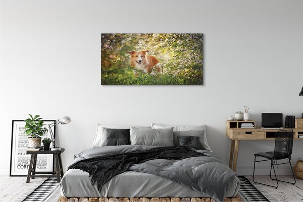 Tablouri canvas Dog flori pădure
