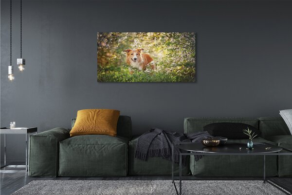 Tablouri canvas Dog flori pădure