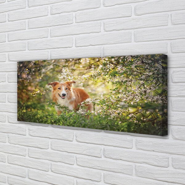 Tablouri canvas Dog flori pădure