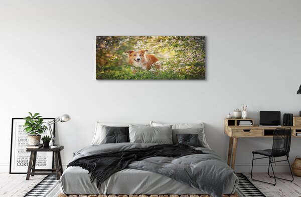 Tablouri canvas Dog flori pădure