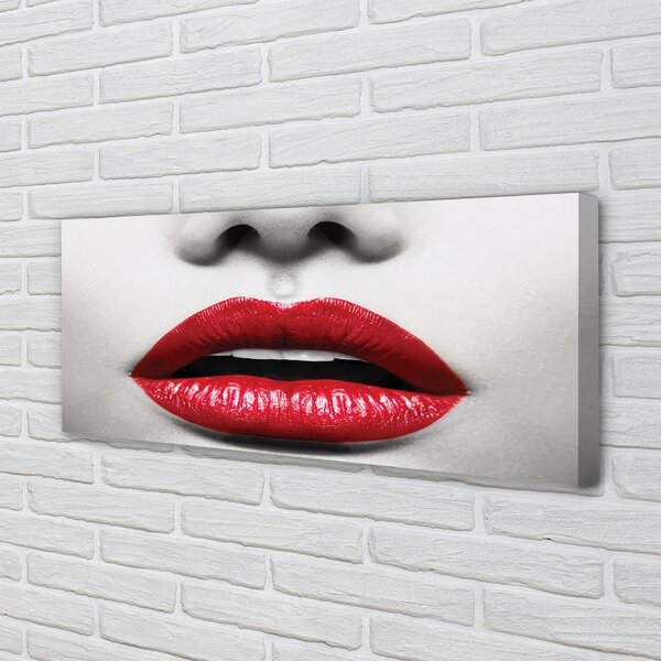 Tablouri canvas buzele rosii femeie nas